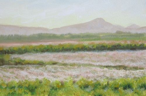 Ben Lomond from Flanders Moss, in the Carse of Stirling. Summer evening
