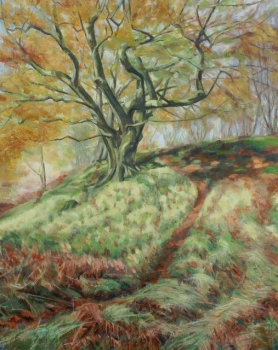 Autumn path, Fintry Wood