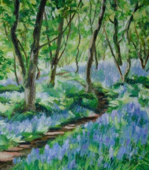 Inchmaholm bluebells 3, Lake of Menteith.