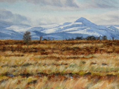 'Snow & bog. Ben Lomond from Kippen Muir'