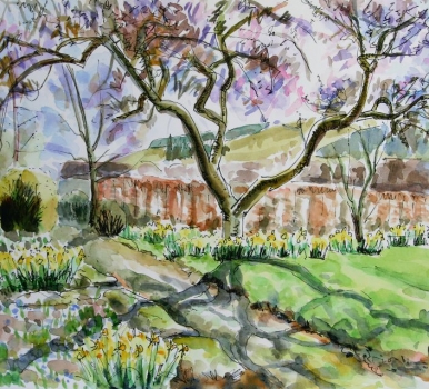 'Daffodils under the apple tree'