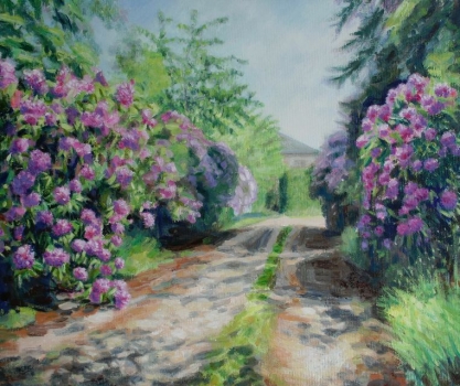 Rhododendron Driveway