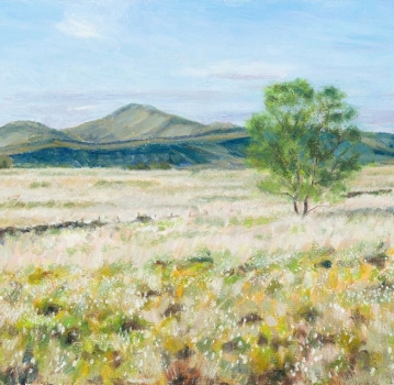 'Cotton Grass on Kippen Muir with Ben Ledi'