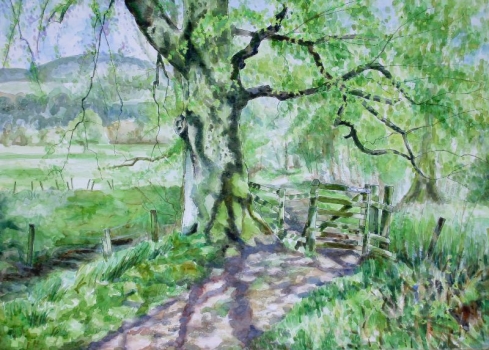 'Big Tree, Little gate, Spring'