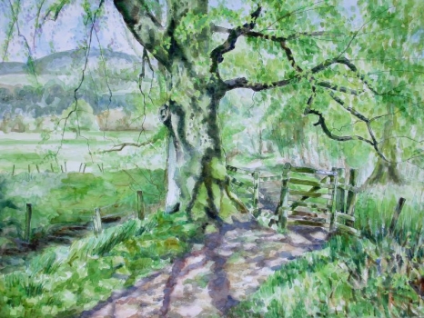 'Big tree, little gate, lade path, Fintry. Spring'