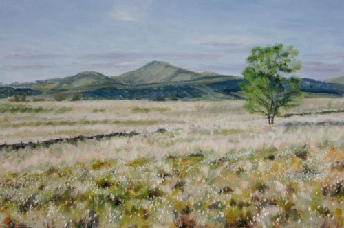 'Cotton grass on Kippen Muir with Ben Ledi' SOLD