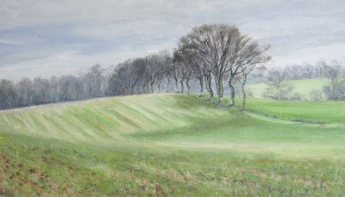 'Trees at the field edge'