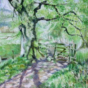 'Tree & gate, lade path, Fintry. Spring'