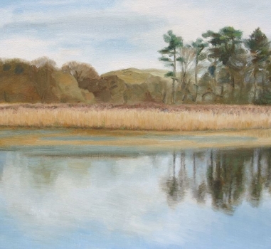 Craigton Pond, Fintry SOLD