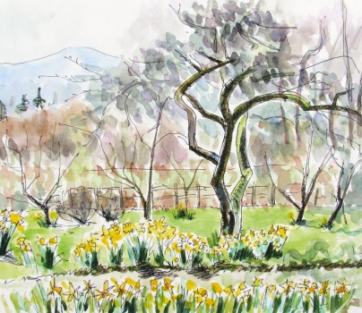 'Daffodils under the Dancing Tree'