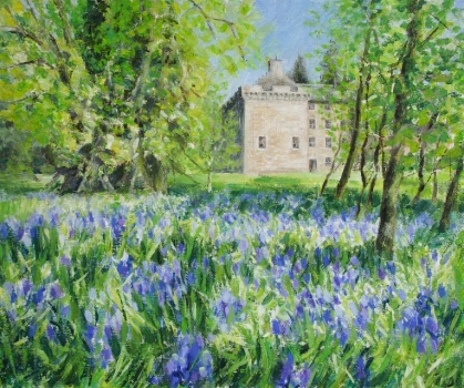 'Bluebells at Culcreuch Castle' SOLD