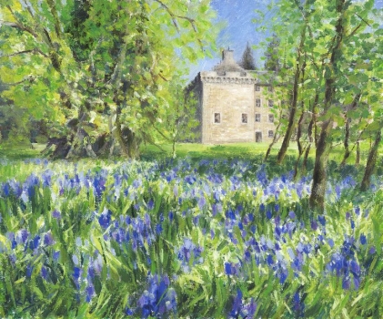 'Bluebells at Culcreuch Castle'