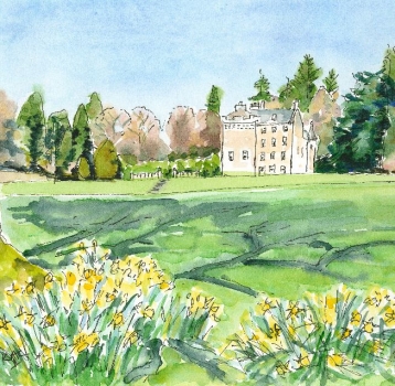 'Sunshine & Daffodils at Culcreuch Castle'
