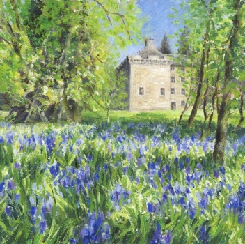 'Bluebells at Culcreuch Castle' Low stock.
