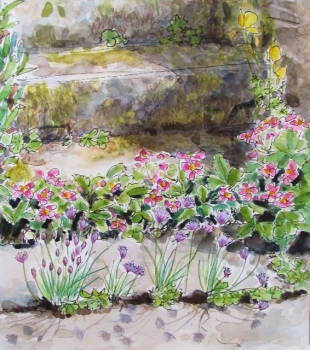 'Chives and Strawberries with Steps'
