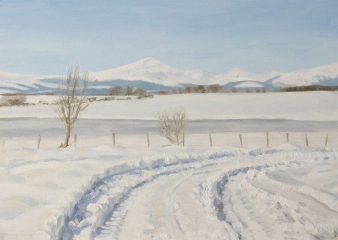 'Snow tracks on the Arnprior Road'