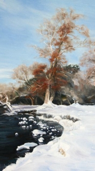 'River Endrick Snow 2'