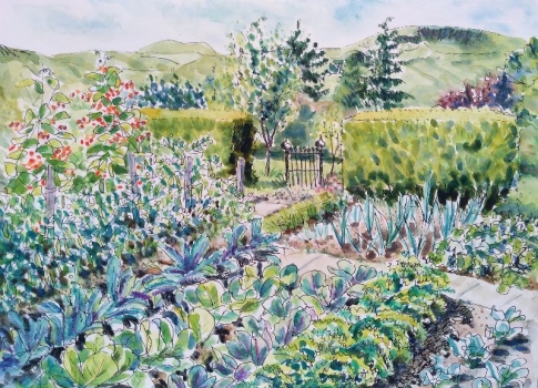 'The Vegetable Garden'