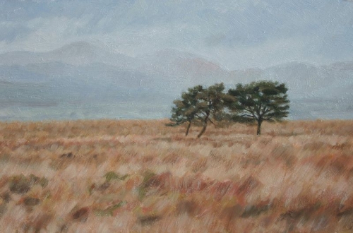 'Driech with 3 Lone Trees'