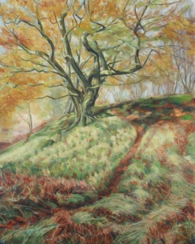 Autumn path, Fintry Wood