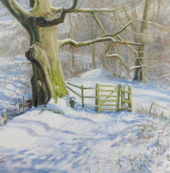 'Big tree, little gate. Lade path, Fintry'