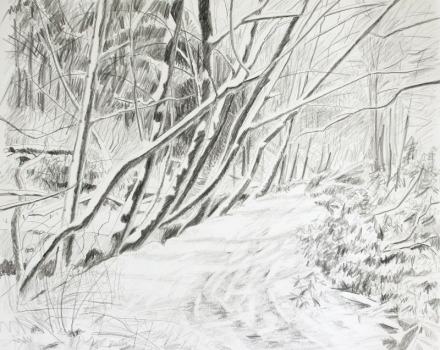 'Lade path in Snow'
